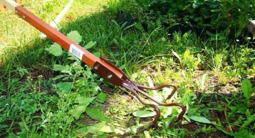 Jak účinně kontrolovat plevel, popis nejlepších léků a lidových prostředků